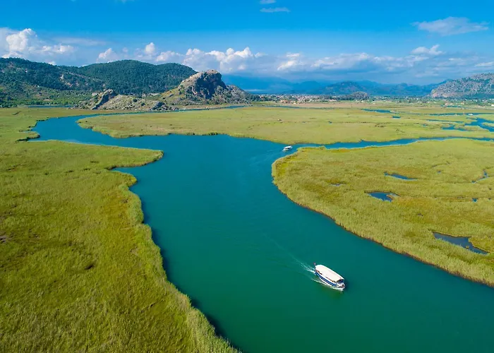 Grand Yasar 1 Okcular