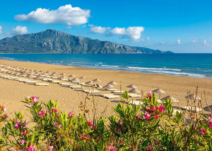 Vilă Grand Yasar 1 Okcular